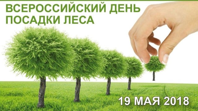 Всероссийский день посадки леса пройдет в удмуртии 1