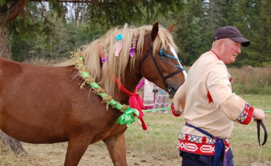 В увинском районе прошёл фестиваль «именины коня» 1