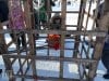 В столице удмуртии завершился «всемирный день пельменя-2020» 40