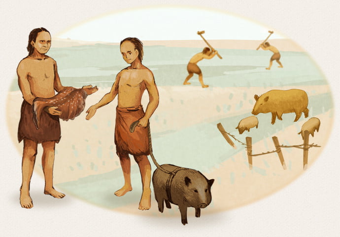 Иллюстрация, древние люди используют шкуру животного в качестве денег